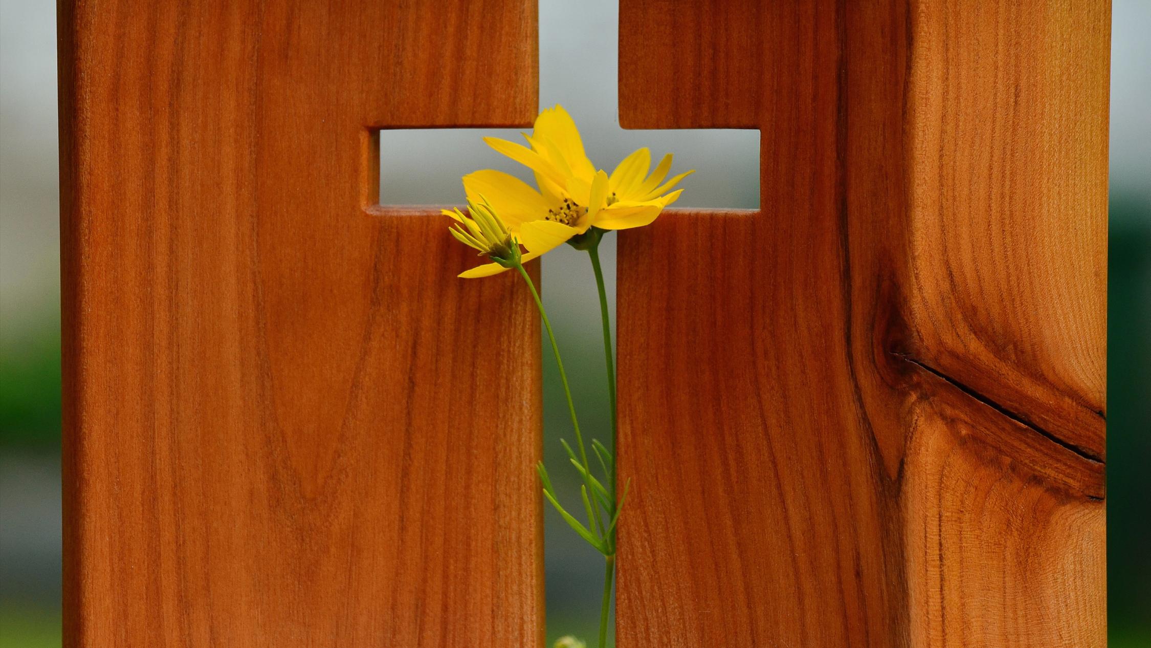 cross-1517094_by_congerdesign_cc0-gemeinfrei_pixabay_pfarrbriefservice