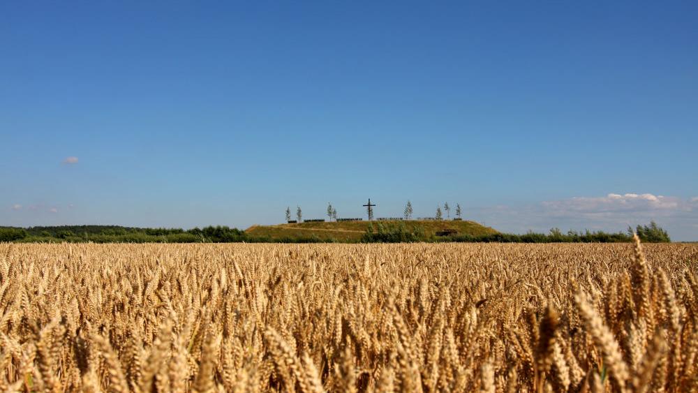 Marienfeld Papsthuegel